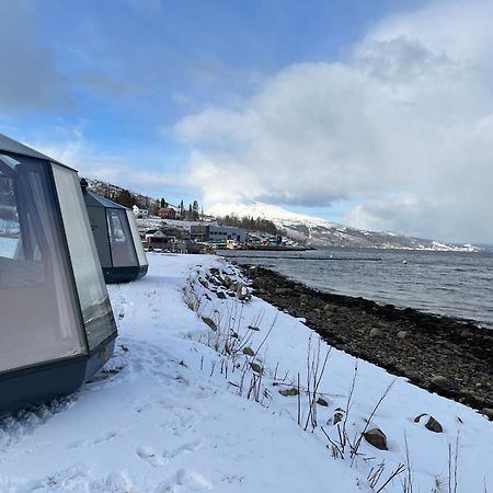 فندق Elvegard Fjordcamp Grov المظهر الخارجي الصورة