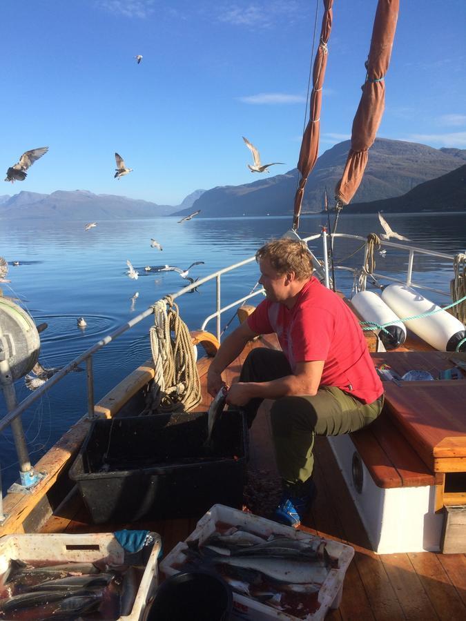فندق Elvegard Fjordcamp Grov المظهر الخارجي الصورة