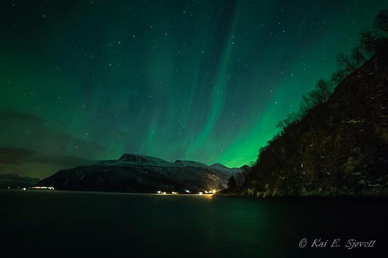 فندق Elvegard Fjordcamp Grov المظهر الخارجي الصورة